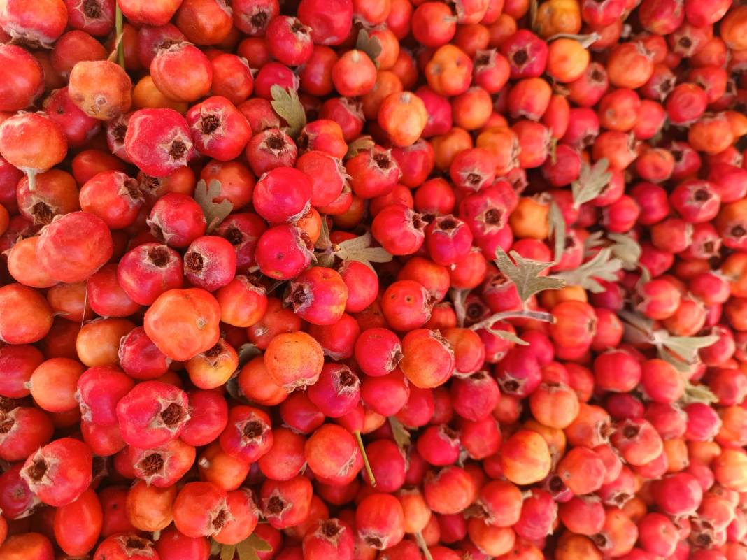 Konya’nın yüzde 100 yerli pazarı 38